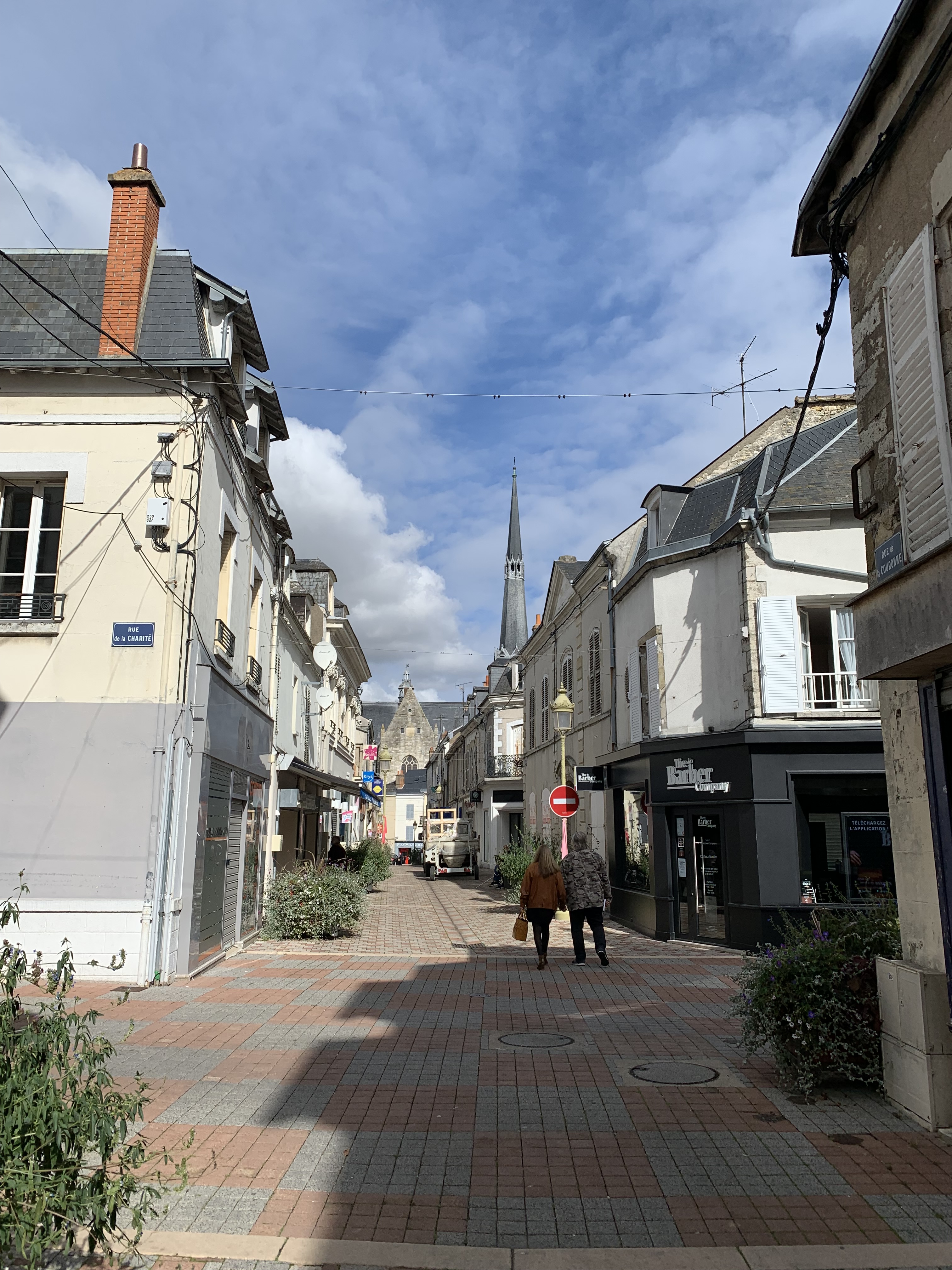 Photos de PITHIVIERS 45300, quartier Saint Eloi-Bellecour, prix immobilier de pithiviers