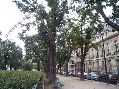 Photos de PARIS 16 EME 75016, quartier CHAILLOT, prix immobilier de paris eme