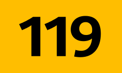 119