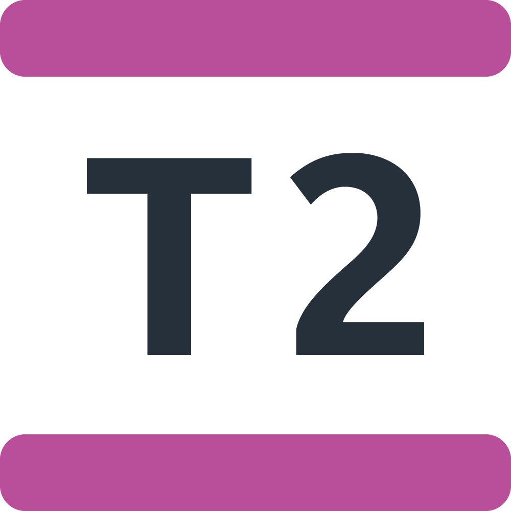 T2